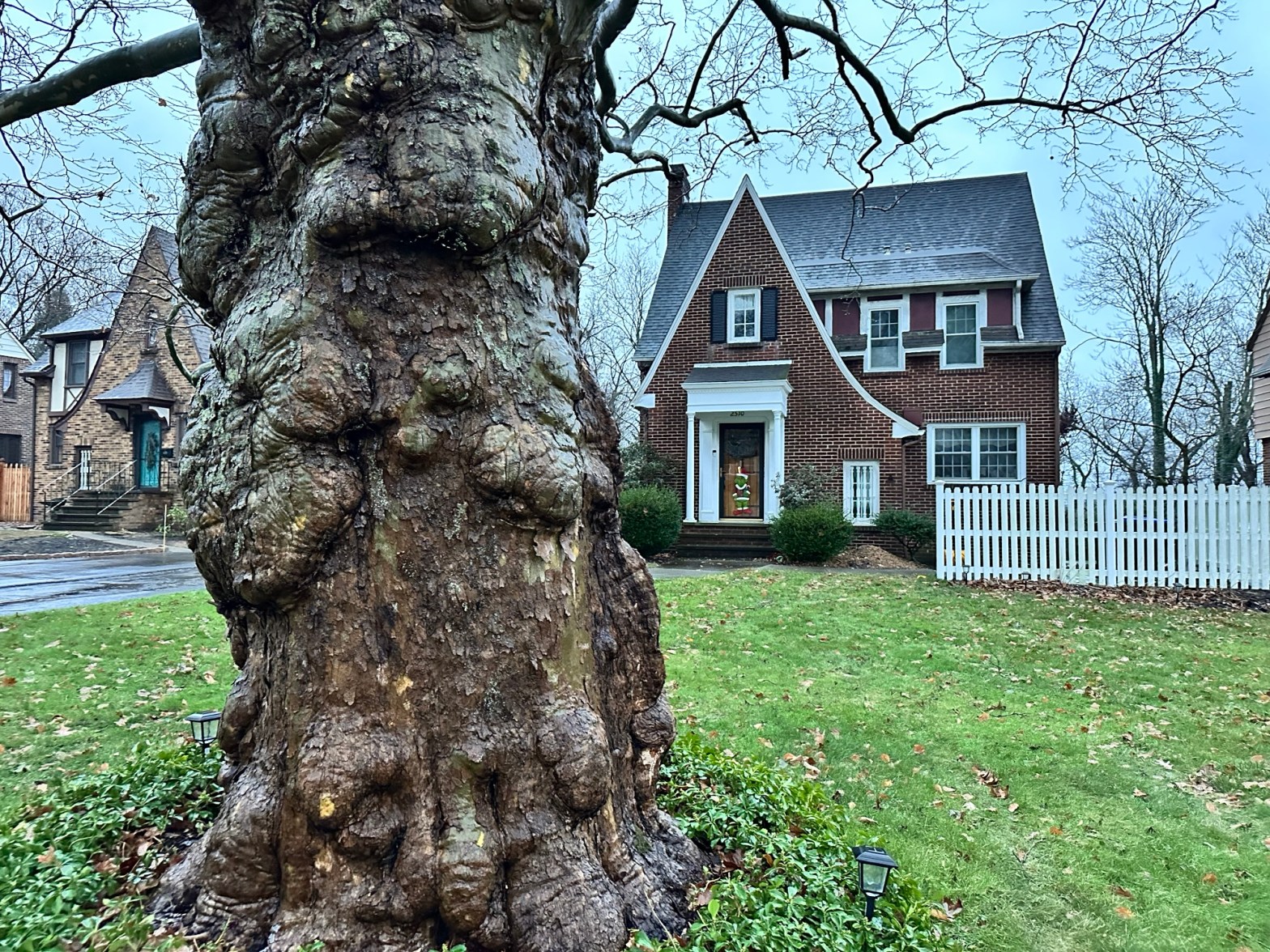 Starting Homeschool in Middle&nbsp;School